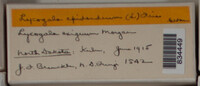 Image Associated With the Occurence